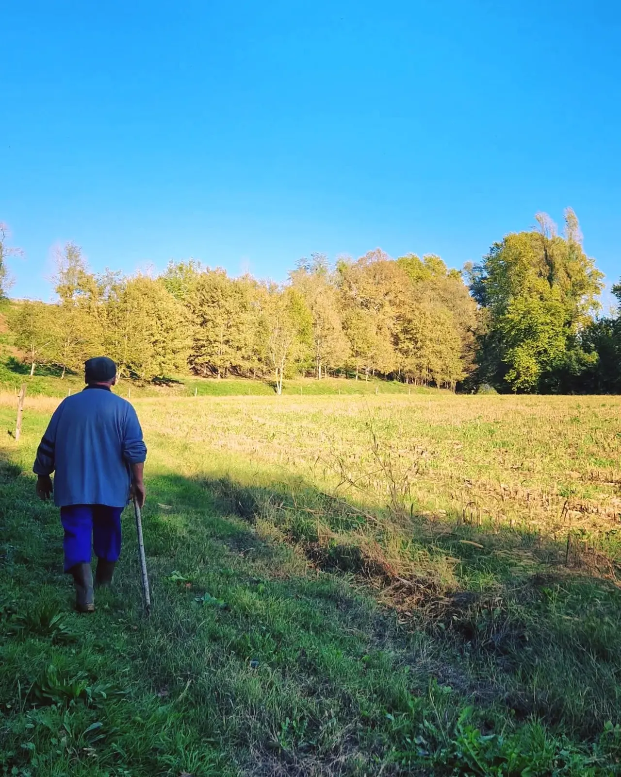 Le grand-père de Pierre Martin marchant dans la campagne béarnaise